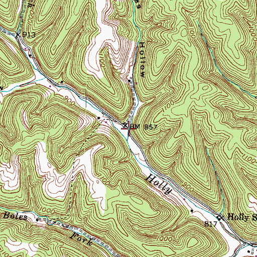 Topographic Map of Boles Hollow, KY