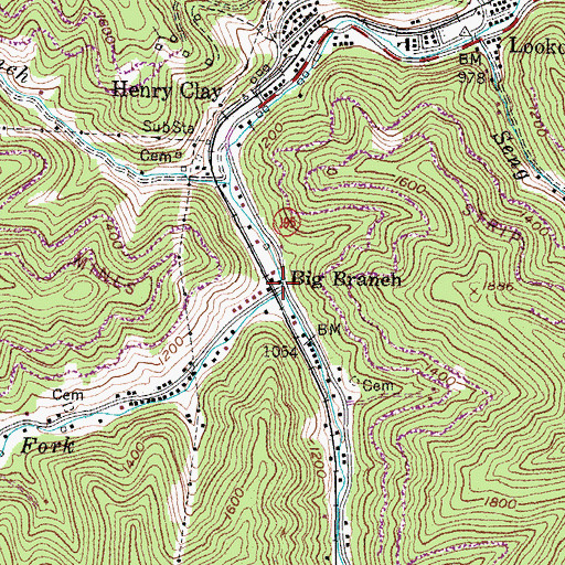 Topographic Map of Bowling Fork, KY