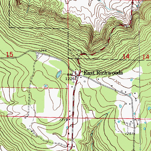 Topographic Map of East Richwoods, AR