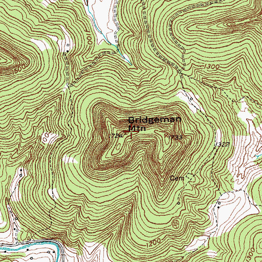 Topographic Map of Bridgeman Mountain, KY