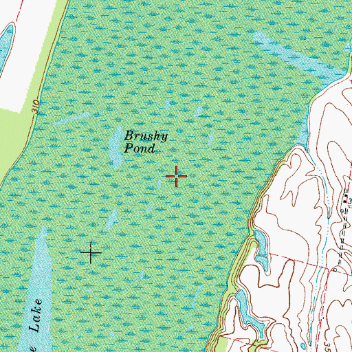 Topographic Map of Brushy Pond, KY