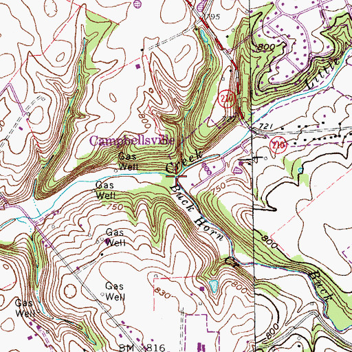 Topographic Map of Buck Horn Creek, KY
