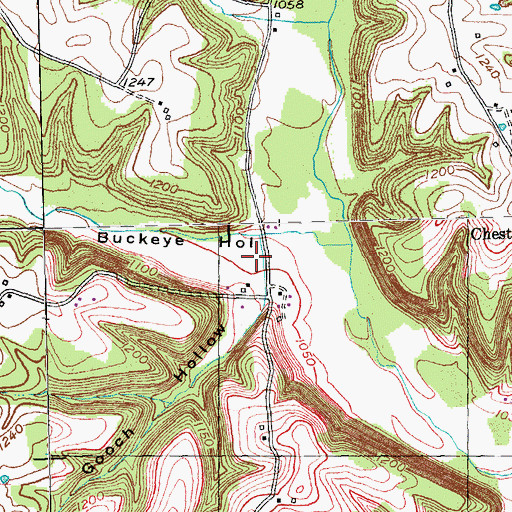 Topographic Map of Buckeye Hollow, KY