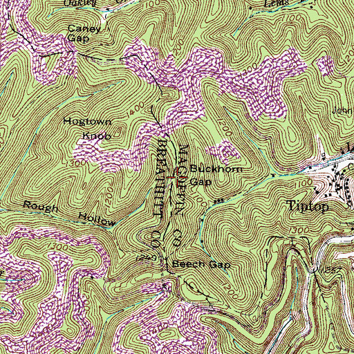 Topographic Map of Buckhorn Gap, KY