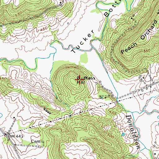 Topographic Map of Buffalo Hill, KY