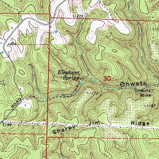 Topographic Map of Elephant Spring, AR