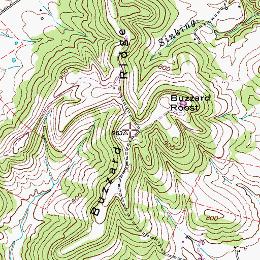 Topographic Map of Buzzard Ridge, KY