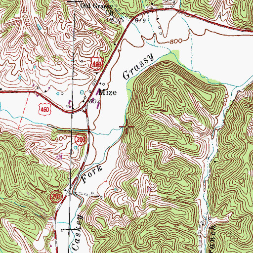 Topographic Map of Caskey Fork, KY