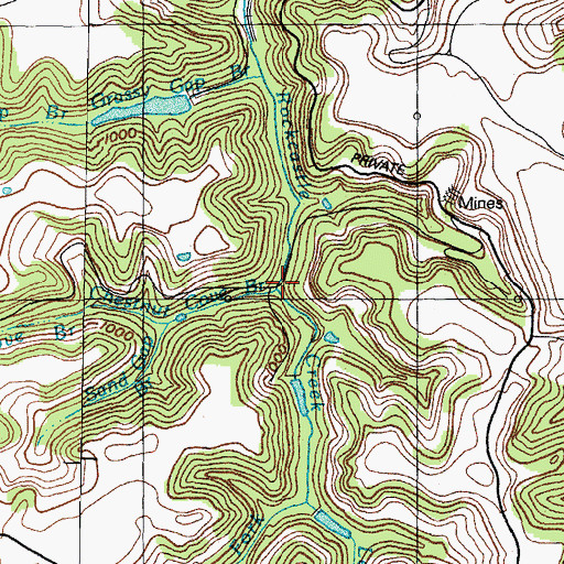 Topographic Map of Chestnut Cove Branch, KY