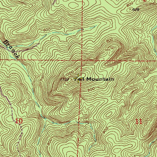 Topographic Map of Fall Mountain, AR