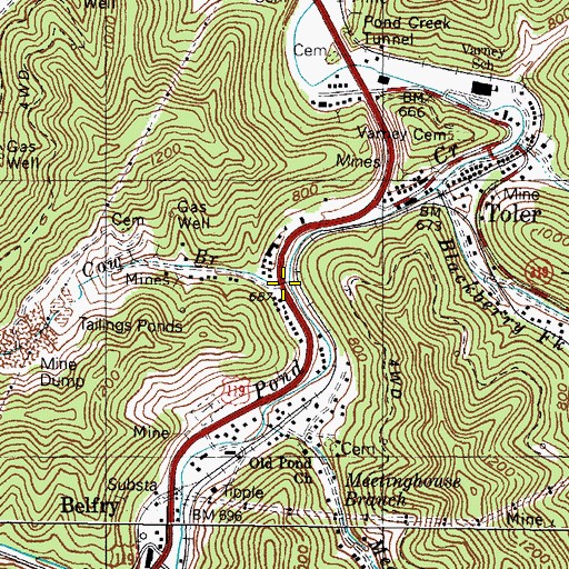Topographic Map of Cow Branch, KY
