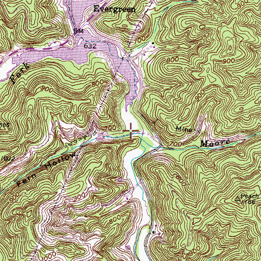 Topographic Map of Fern Hollow, KY
