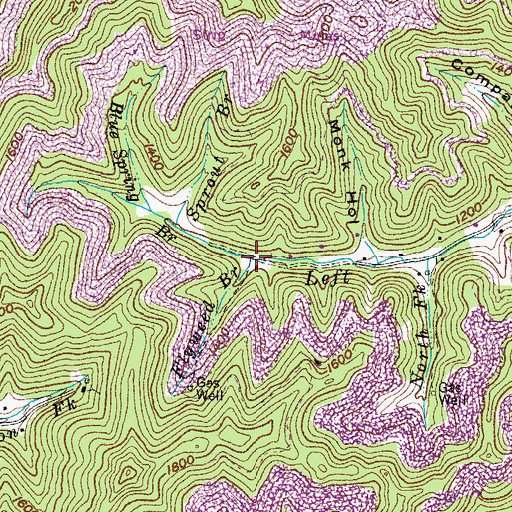 Topographic Map of Flyweed Branch, KY