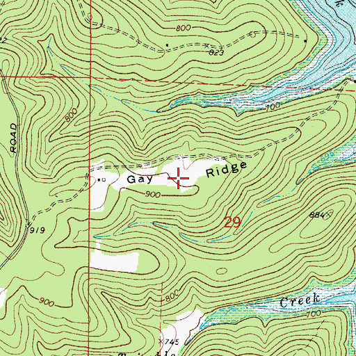 Topographic Map of Gay Ridge, AR