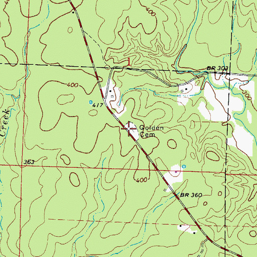 Topographic Map of Golden Cemetery, AR