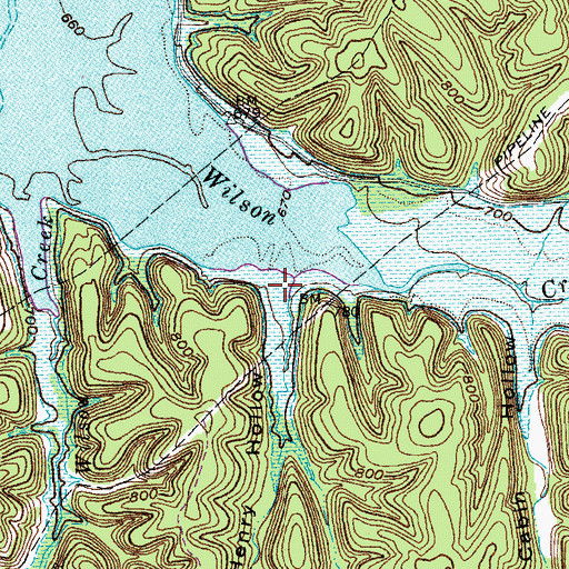 Topographic Map of Indian Henry Hollow, KY
