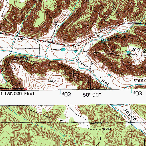 Topographic Map of Joyce Hollow, KY
