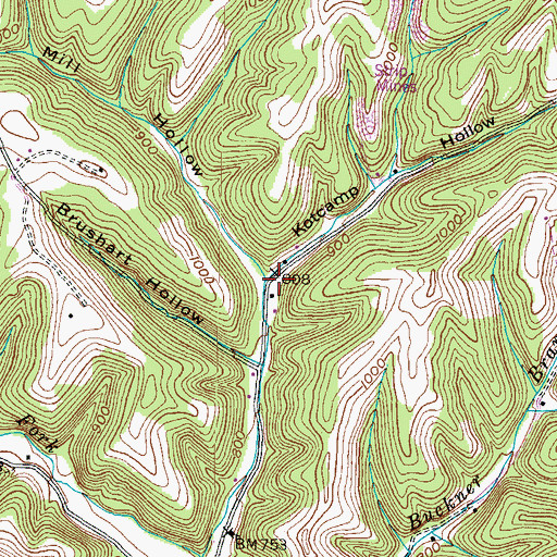 Topographic Map of Kotcamp Hollow, KY