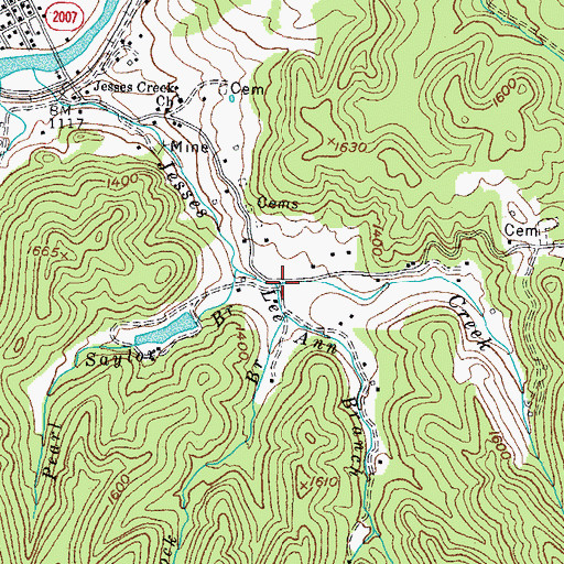 Topographic Map of Lee Ann Branch, KY