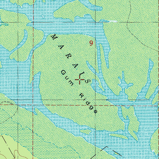 Topographic Map of Gum Ridge, AR