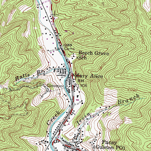 Topographic Map of Mary Alice, KY