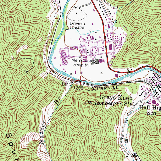 Topographic Map of Napier Branch, KY