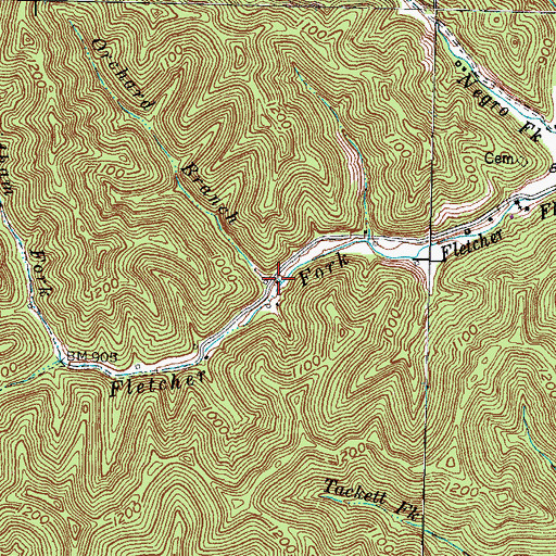 Topographic Map of Orchard Branch, KY