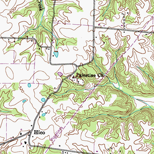 Topographic Map of Palestine Church, KY