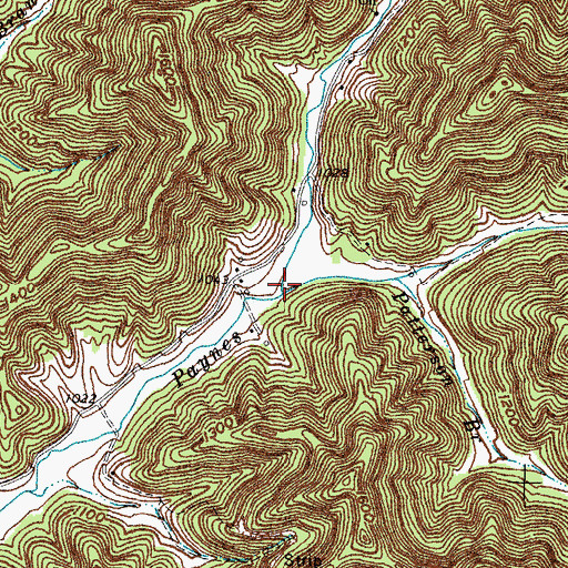 Topographic Map of Patterson Branch, KY
