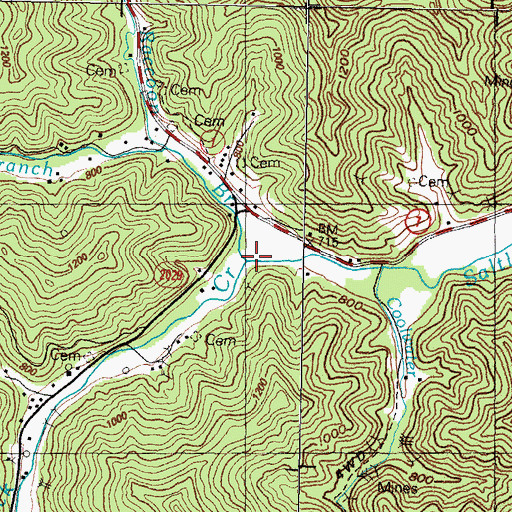 Topographic Map of Raccoon Branch, KY