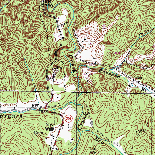 Topographic Map of Raccoon Branch, KY