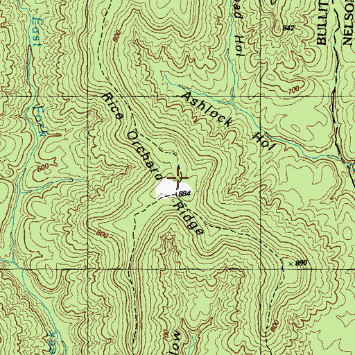 Topographic Map of Rice Orchard Ridge, KY