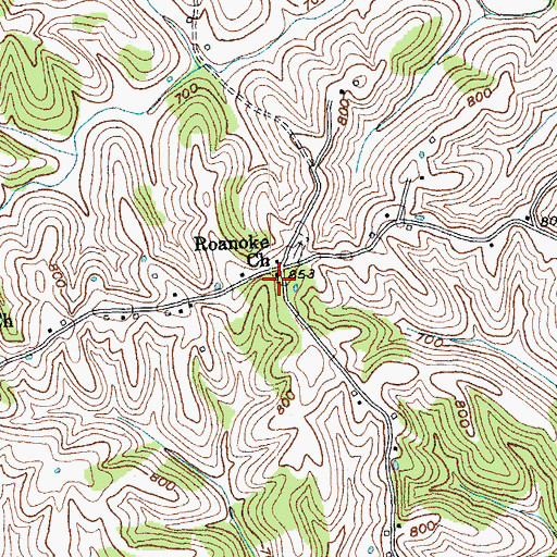 Topographic Map of Roanoke Church, KY