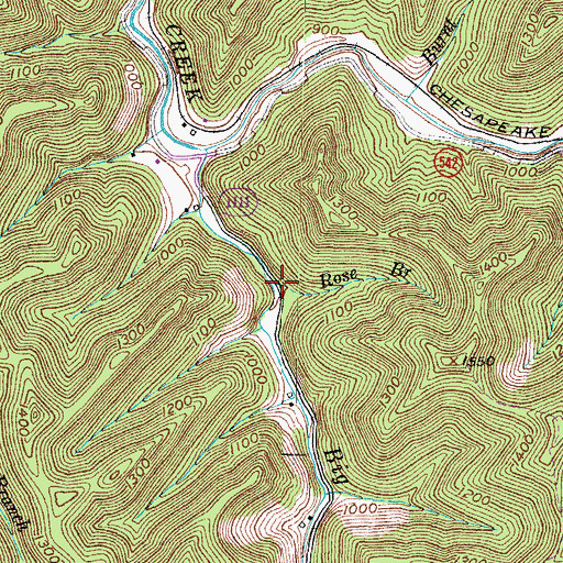 Topographic Map of Rose Branch, KY