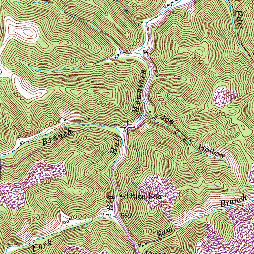 Topographic Map of Rowan Branch, KY