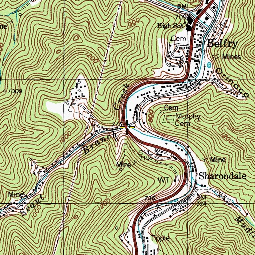 Topographic Map of Scant Branch, KY