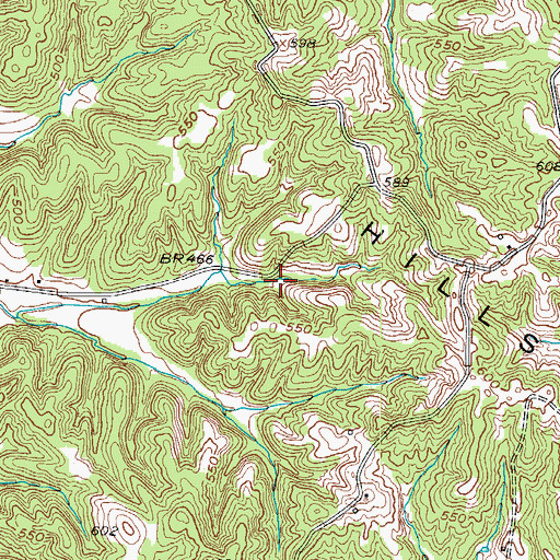 Topographic Map of Shake Rag Hills, KY