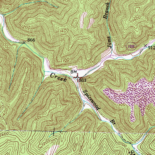 Topographic Map of Spicewood Branch, KY
