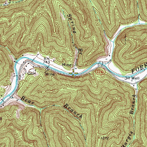 Topographic Map of Spring Branch, KY