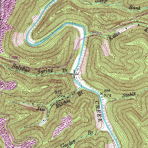 Topographic Map of Sulphur Spring Branch, KY