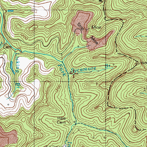 Topographic Map of Sycamore Branch, KY