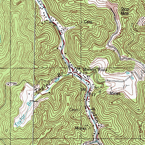 Topographic Map of Taylor Branch, KY
