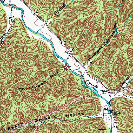 Topographic Map of Thompson Hollow, KY