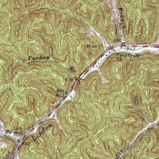 Topographic Map of Turkey Branch, KY