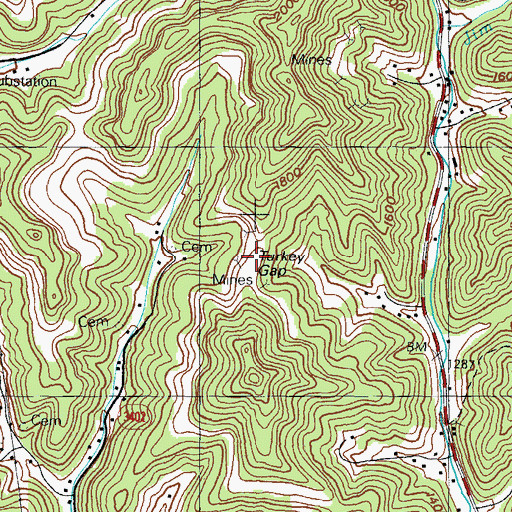 Topographic Map of Turkey Gap, KY