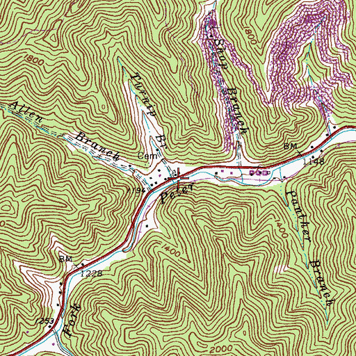Topographic Map of Turnip Branch, KY