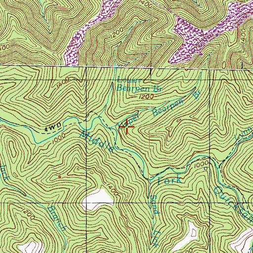 Topographic Map of Upper Bearpen Branch, KY