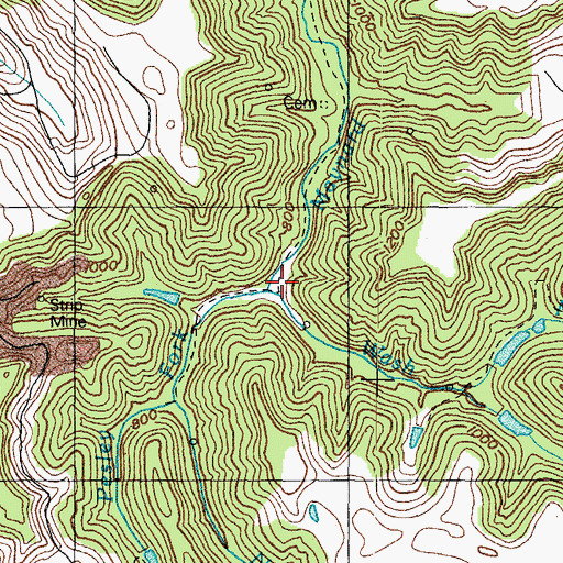 Topographic Map of Wash Branch, KY