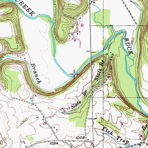 Topographic Map of White Branch, KY