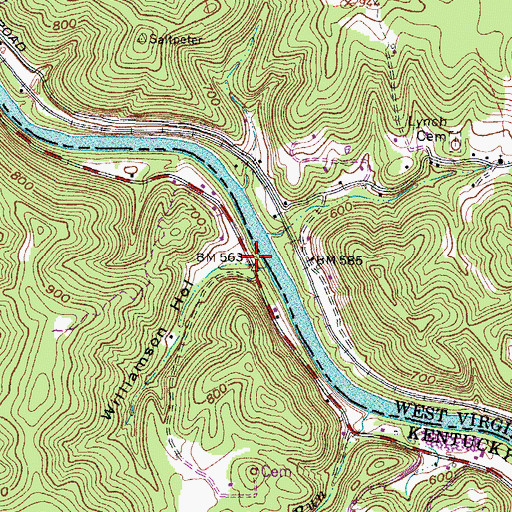 Topographic Map of Williamson Hollow, KY
